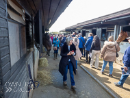 PN030422-178 - Paul Nicholls Stable Visit